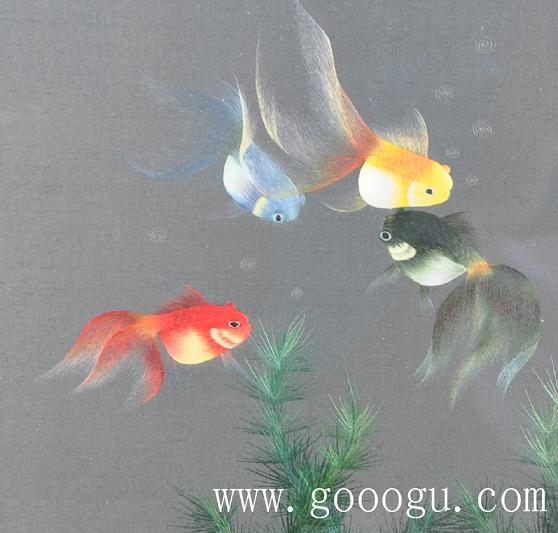 金魚自由自在的游動(dòng)、展現(xiàn)出形態(tài)優(yōu)美的舞姿!